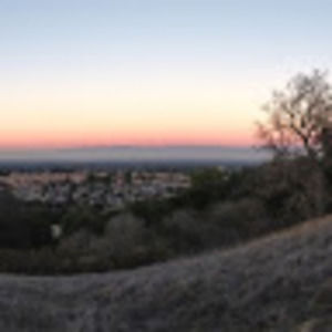 Meet your Posher, Theresa